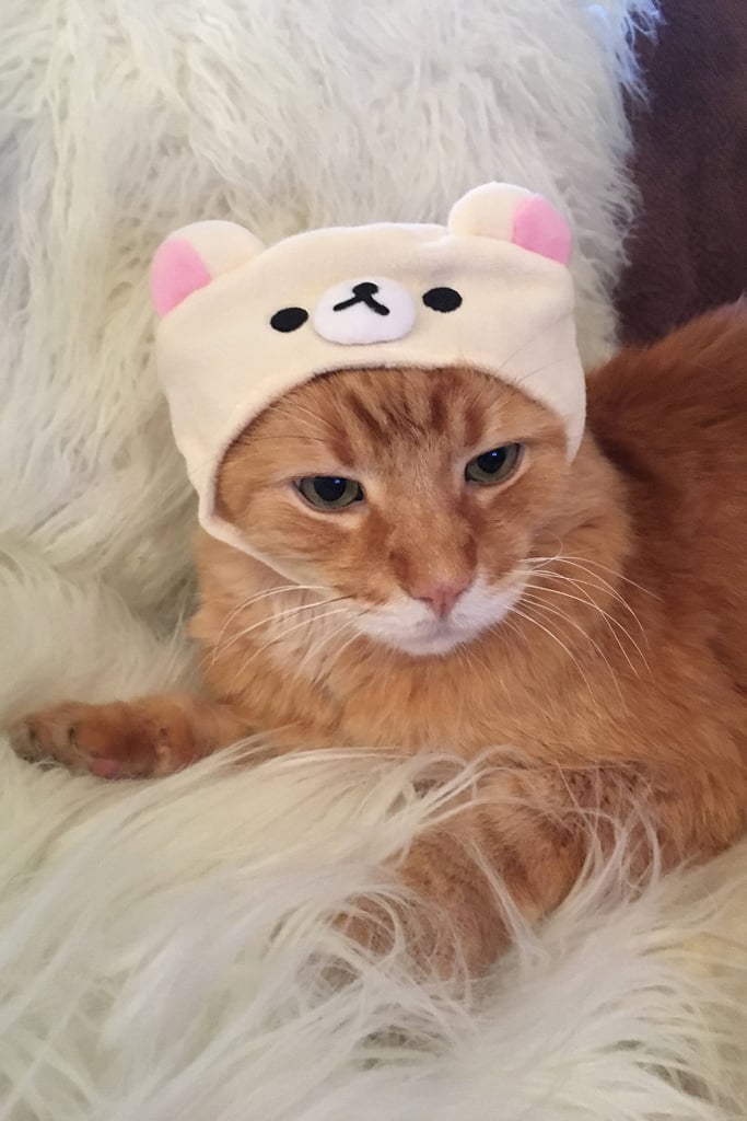 Rilakkuma-Cat-Cap-10.jpeg