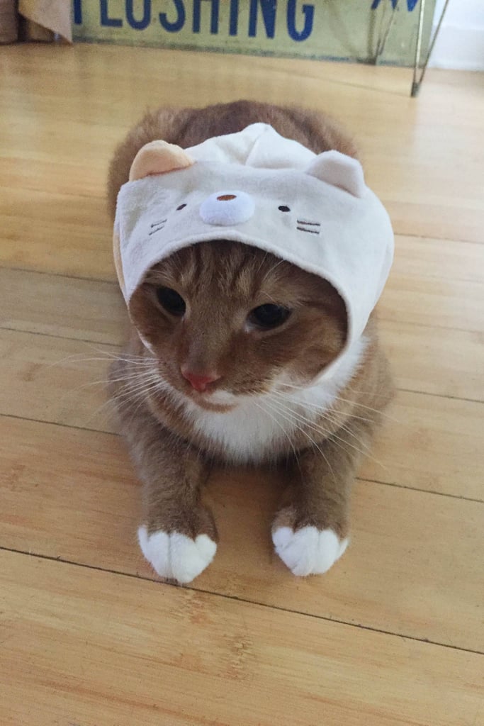 Sumikko-Gurashi-Cat-Cap-10.jpeg