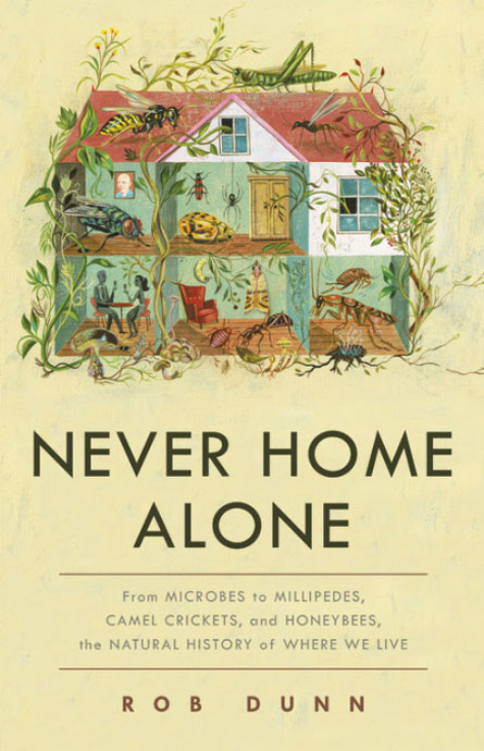 111018_review_never-alone_cover.jpg