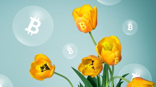 104885910-Tulip_Bubble_Bitcoin.530x298.jpg?v=1512677734