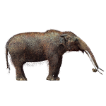 112418_mammoth_icons-cuvieronius.png