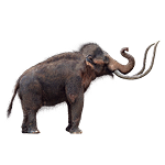 112418_mammoth_icons-columbian-mammoth.png