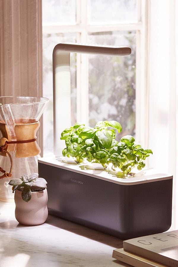 Click-Grow-Smart-Herb-Garden-3-Starter-Kit.jpg