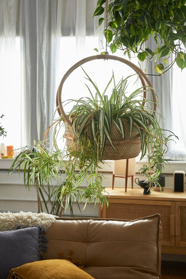 Margot-Hanging-Planter.jpg