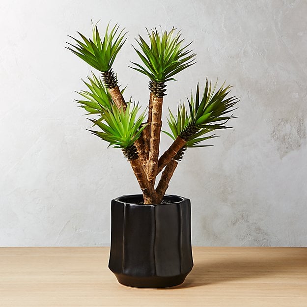Get-Look-Faux-Potted-Agave.jpg