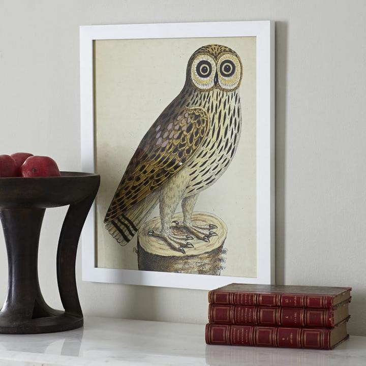 Get-Look-Albin-Bird-Engraving-Wall-Art.jpg