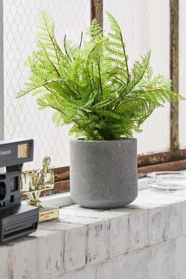 Potted-Fern-Faux-Plant.jpg