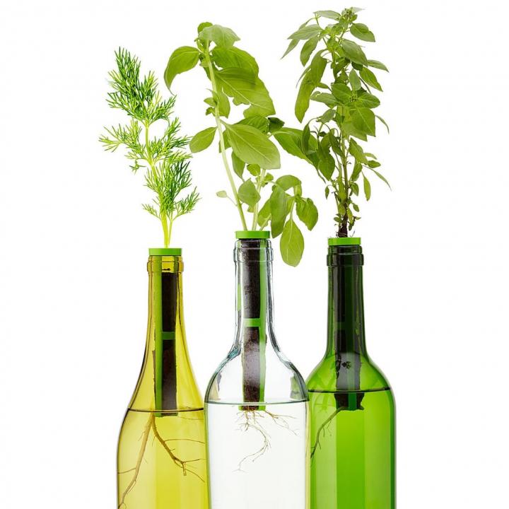 Bottle-Stopper-Garden-Kit.jpg