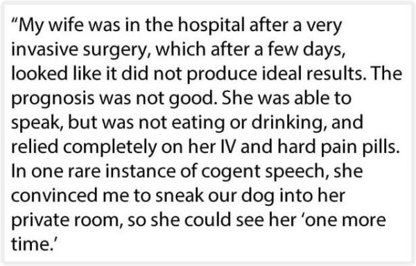 husband-smuggles-dog-hospital3.jpg?quality=85&strip=info&w=600