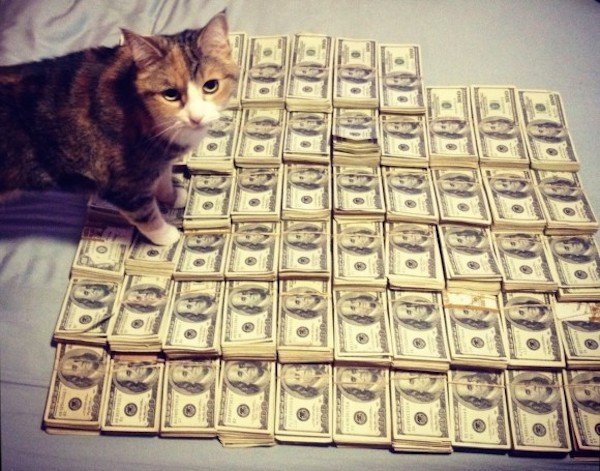 forget-the-banks-were-putting-cats-in-charge-of-our-money-x-photos-21.jpg?quality=85&strip=info&w=600