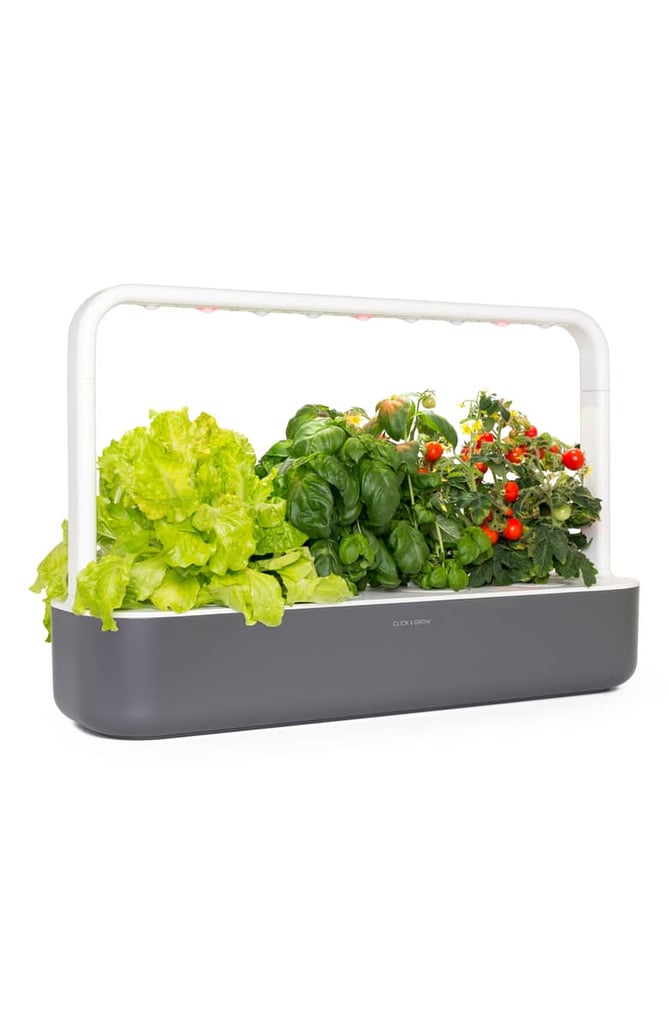 Click-Grow-Smart-Garden-9-Indoor-Planter.jpg