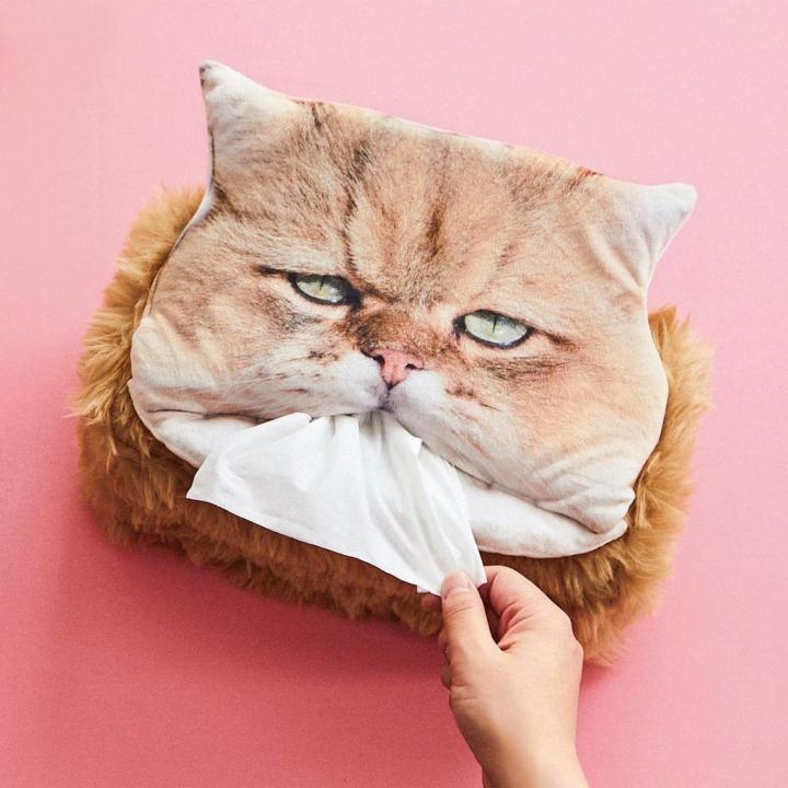 Fluffy-Cat-Tissue-Box.jpg