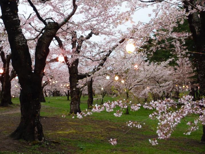 Hokkaido-Japan.jpg