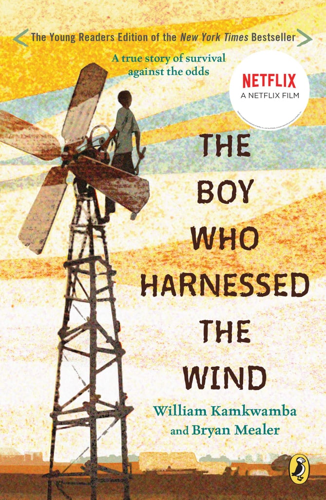 Boy-Who-Harnessed-Wind-William-Kamkwamba-Bryan-Mealer.jpg