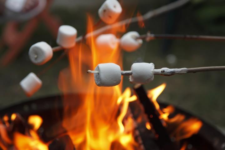 roasting-marshmallows.jpg?resize=1024%2C683&ssl=1