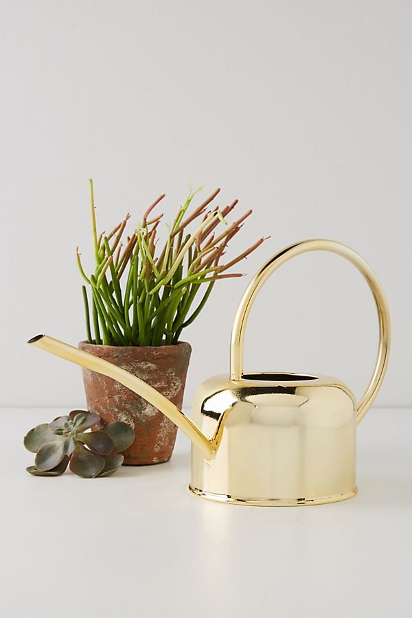 Golden-Watering-Can.jpeg