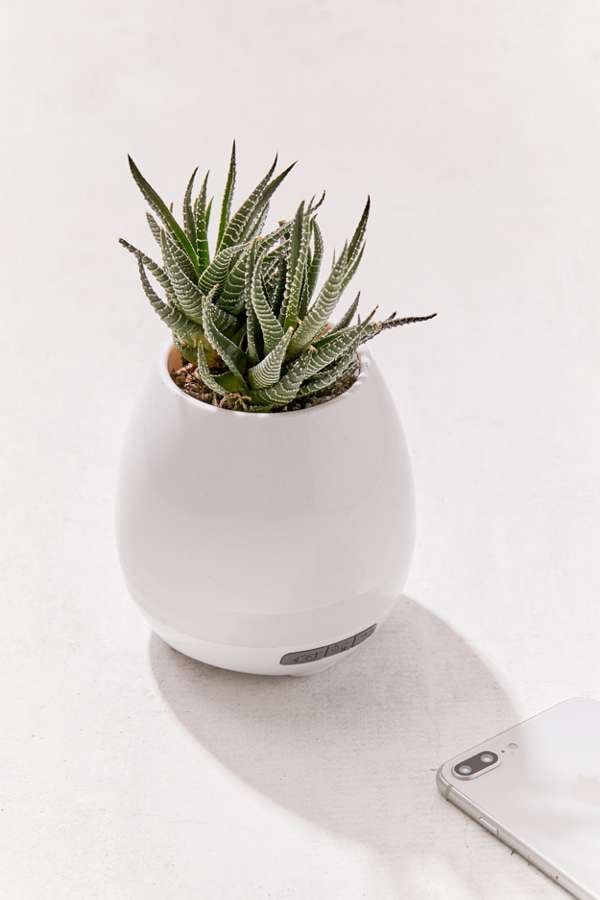 Faux-Plant-Bluetooth-Speaker.jpg