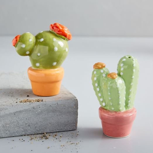 Cactus-Salt-Pepper-Shaker-Set.jpg