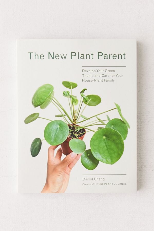 New-Plant-Parent-Develop-Your-Green-Thumb-Care-Your-House.jpg