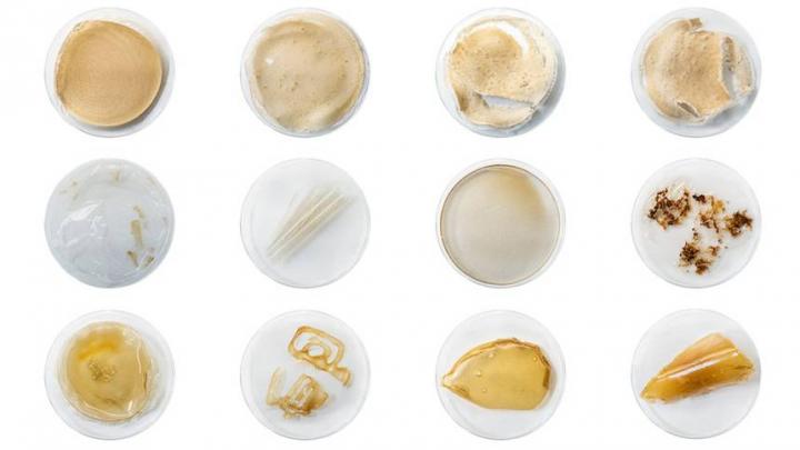 crustacean-shell-bioplastic-packaging-shellworks-2.jpg.860x0_q70_crop-smart.jpg
