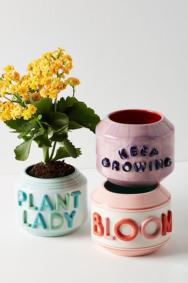 Garden-Greeting-Pots.jpeg