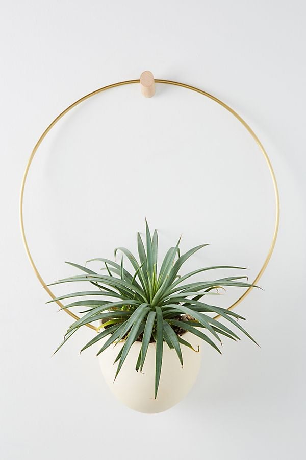 Brass-Spora-Hanging-Planter.jpeg