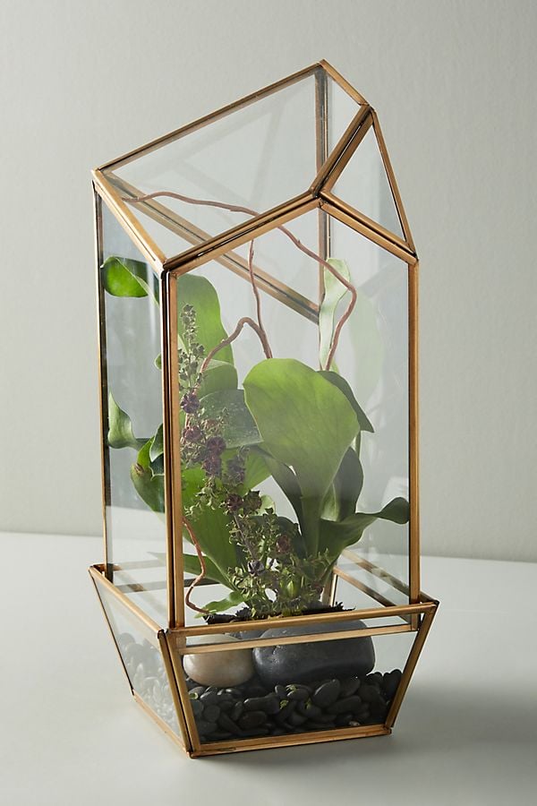 Glass-Terrarium.jpeg