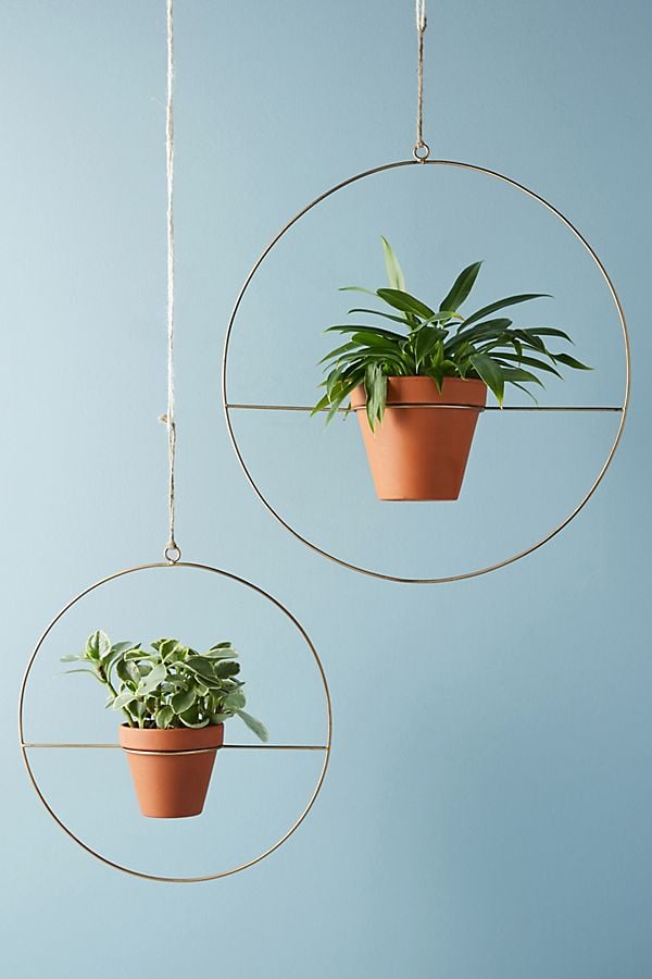 Hanging-Geo-Planters.jpeg