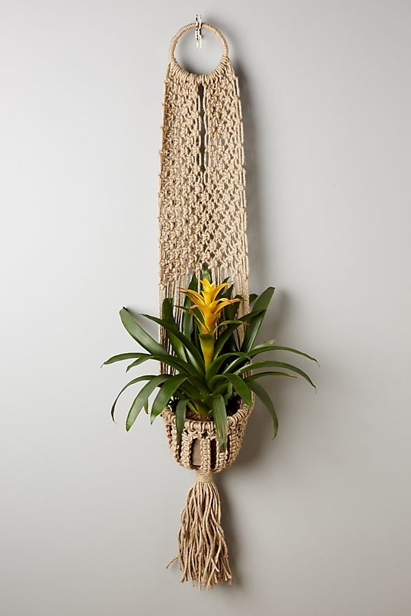 Macrame-Plant-Hanger.jpeg