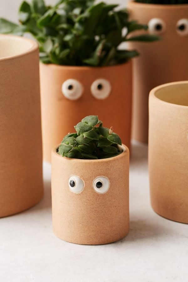 Henry-Googly-Eye-Planter.jpg