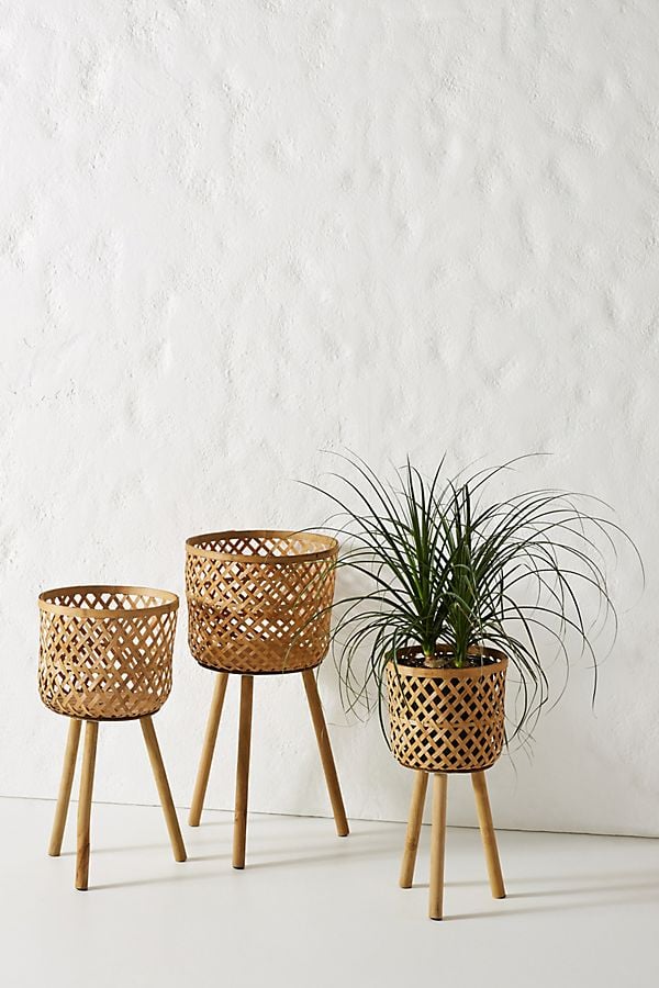 Bamboo-Plant-Stands-Set-3.jpeg