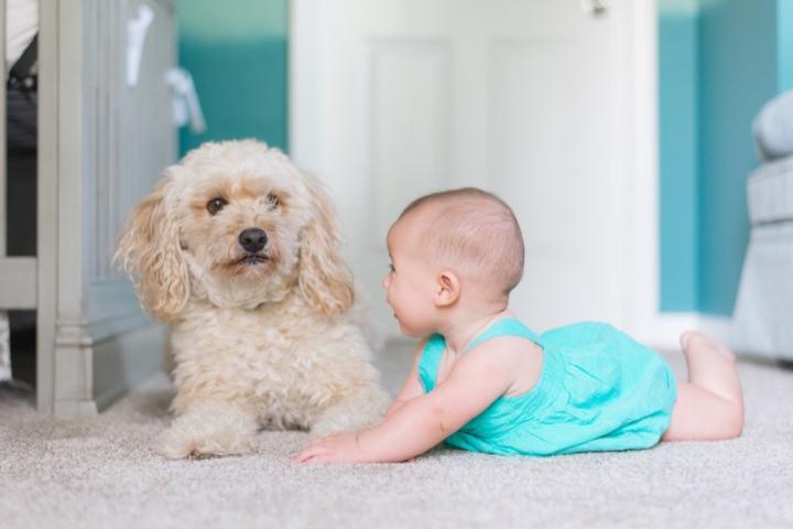 Baby-with-dog-photo-by-Picsea-on-Unsplash.jpg?resize=1024%2C683&ssl=1