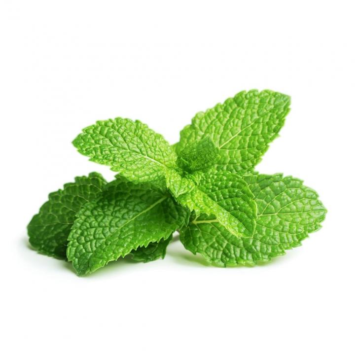 Peppermint-Plant.jpg