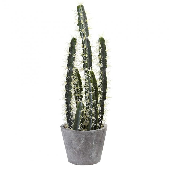 Nearly-Natural-Decorative-Cactus-Garden.jpg