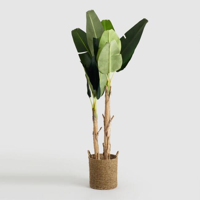 Faux-Double-Stalk-Banana-Tree.jpg