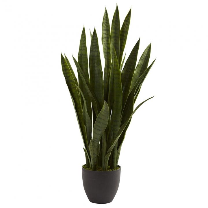 Nearly-Natural-Sansevieria-Plant.jpg