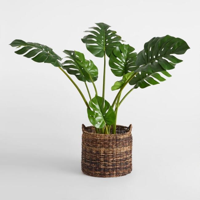 Faux-Monstera-Plant.jpg