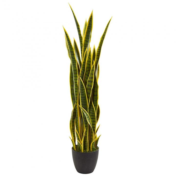 Nearly-Natural-Sansevieria.jpg