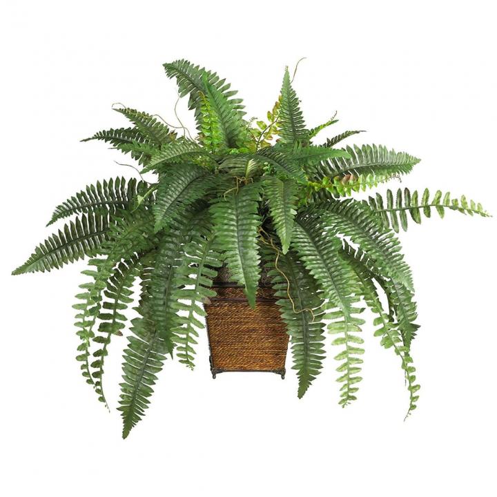 Nearly-Natural-Boston-Fern.jpg