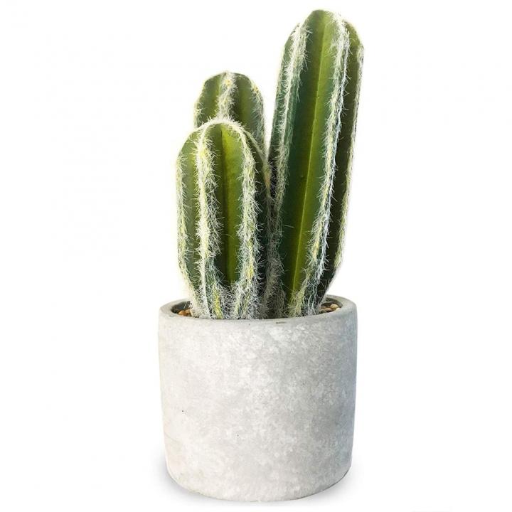 Oxxy-Artificial-Fake-Cactus.jpg