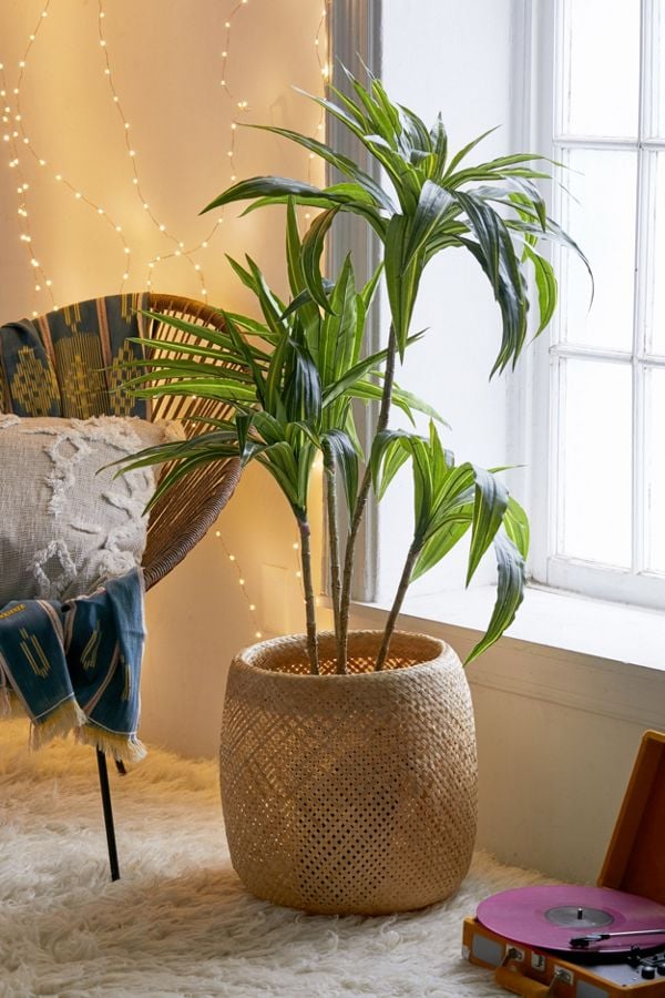 Dracena-Potted-Faux-Tree.jpg