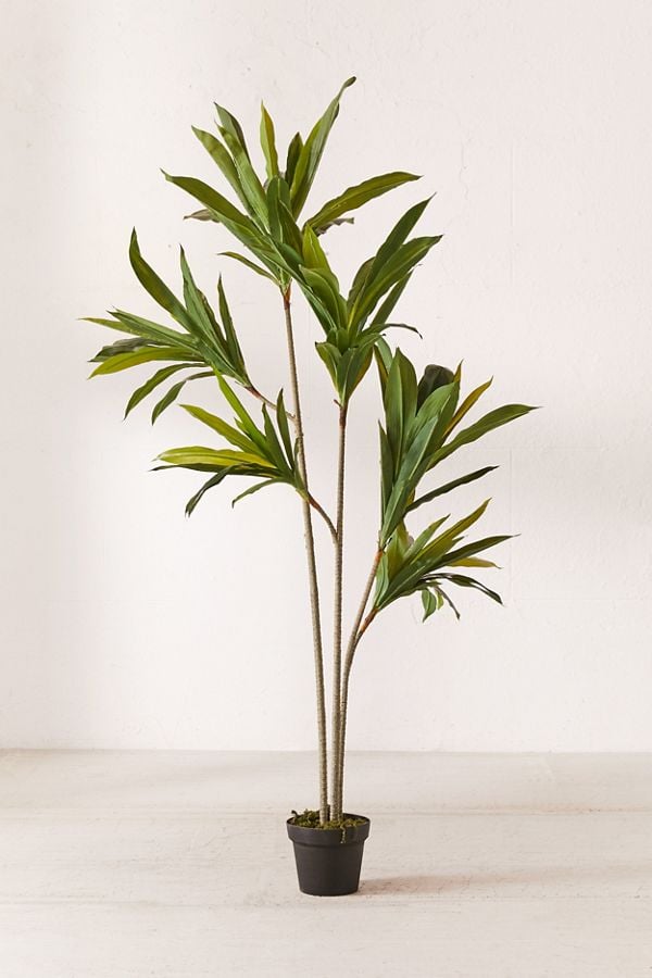 Dracena-Potted-Faux-Tree.jpg