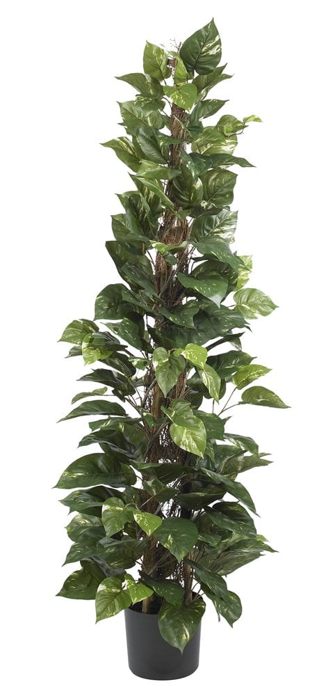 Nearly-Natural-Pothos-Climbing-Decorative-Silk-Plant.jpg