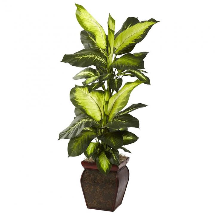 Golden-Dieffenbachia-Decorative-Planter.jpg