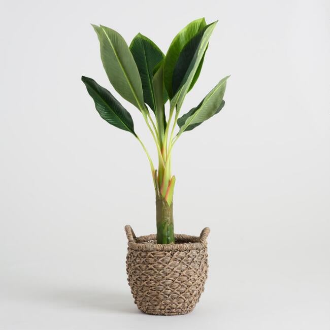 Faux-Single-Stalk-Banana-Tree.jpg