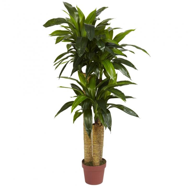 Nearly-Natural-Corn-Stalk-Dracaena.jpg