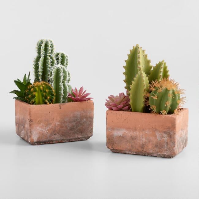 Faux-Mixed-Cactus-Succulent-Arrangement.jpg