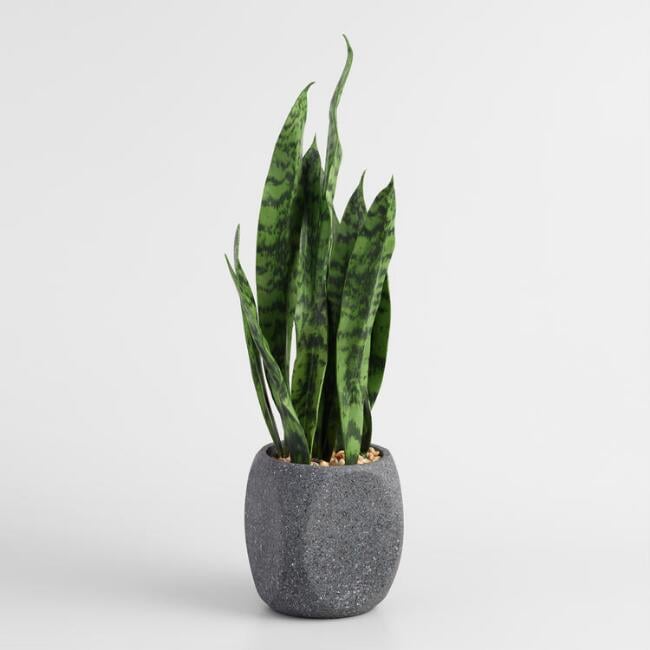 Faux-Snake-Plant.jpg