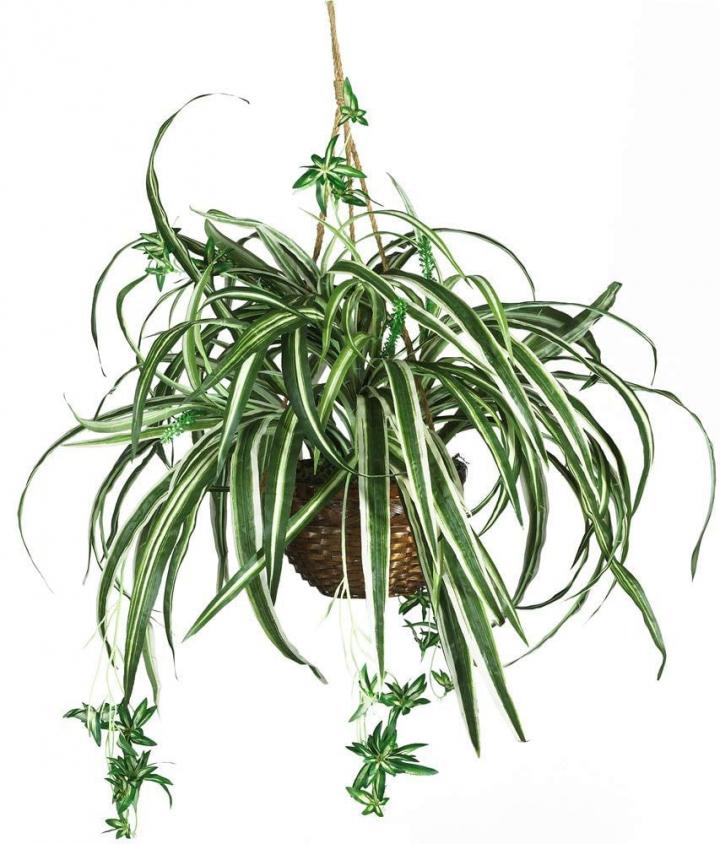Nearly-Natural-Spider-Hanging-Basket-Decorative-Silk-Plant.jpg