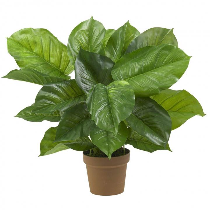 Nearly-Natural-Large-Leaf-Philodendron-Decorative-Silk-Plant.jpg